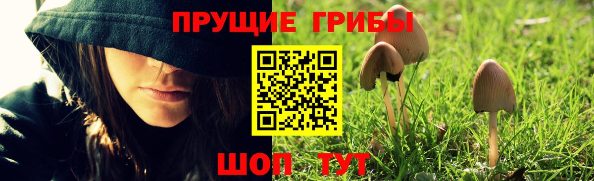 Псилоцибиновые грибы мухоморы Белорецк